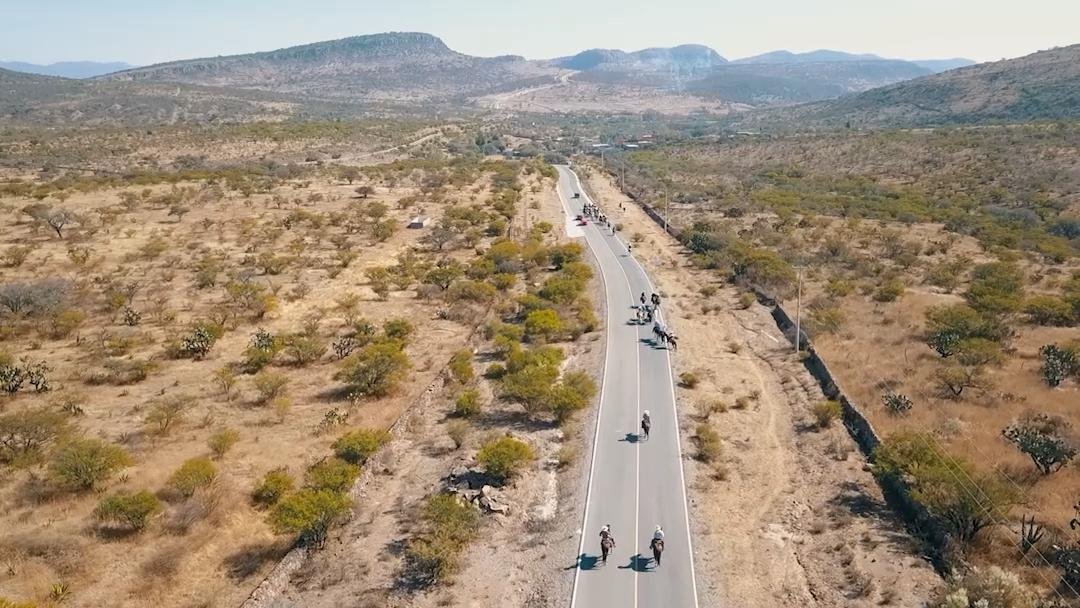 <small>1.-</small> Cabalgata de entrada