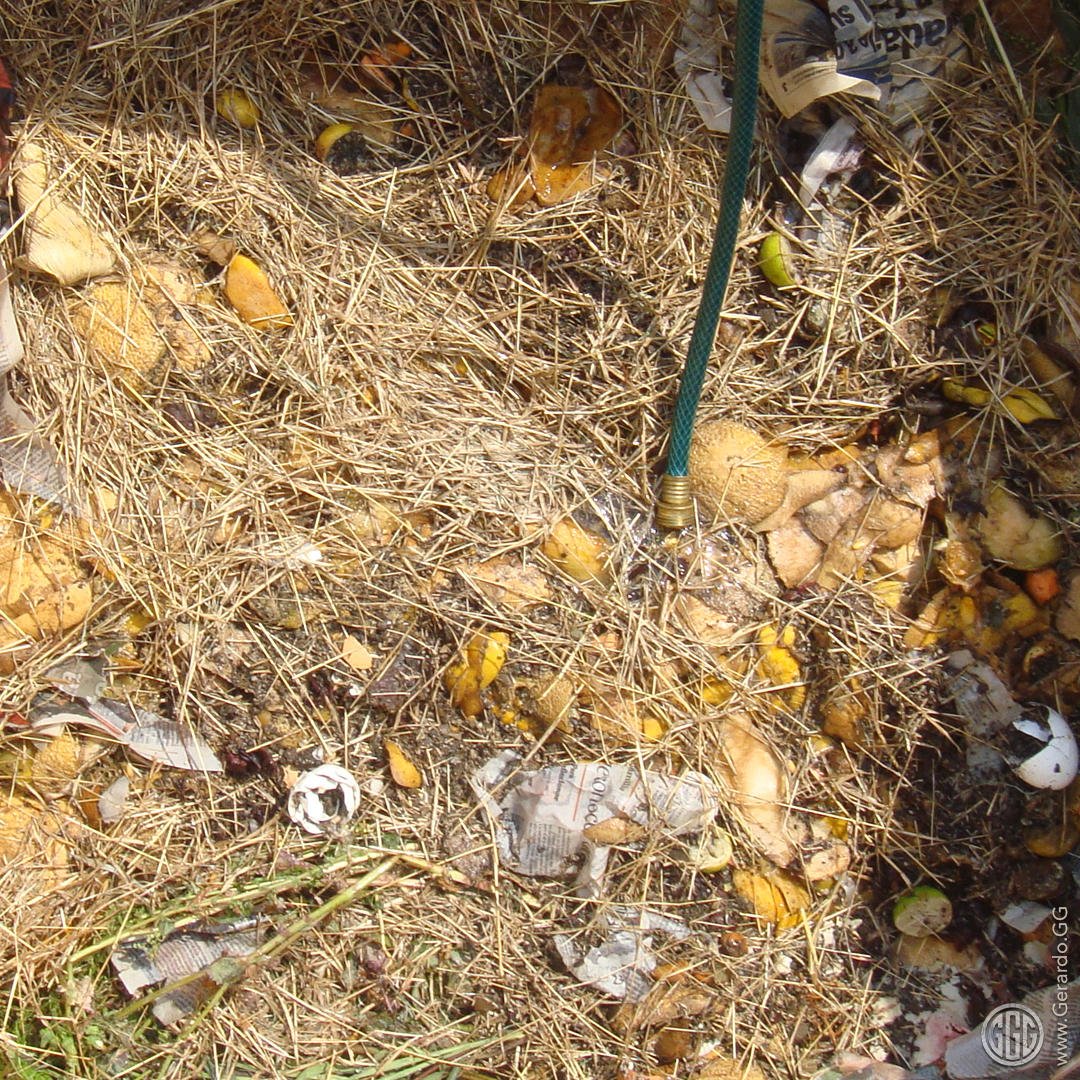 Diseño ecológico productivo