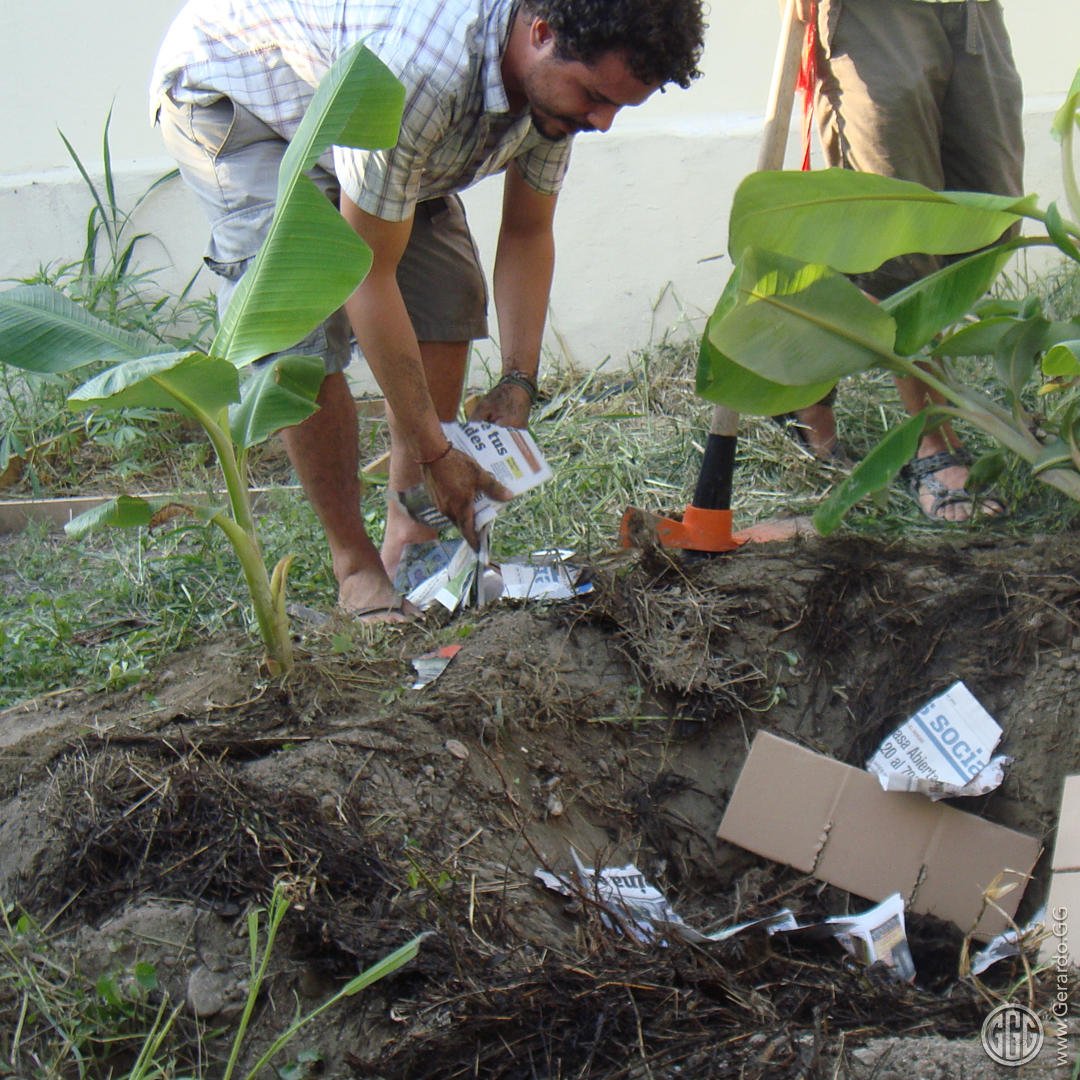 Diseño ecológico productivo