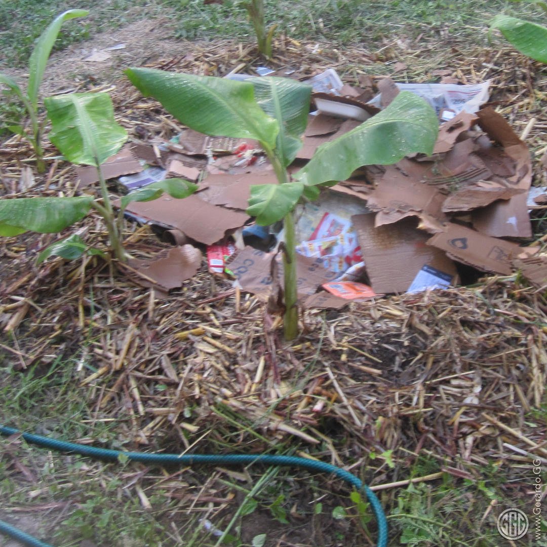 Diseño ecológico productivo