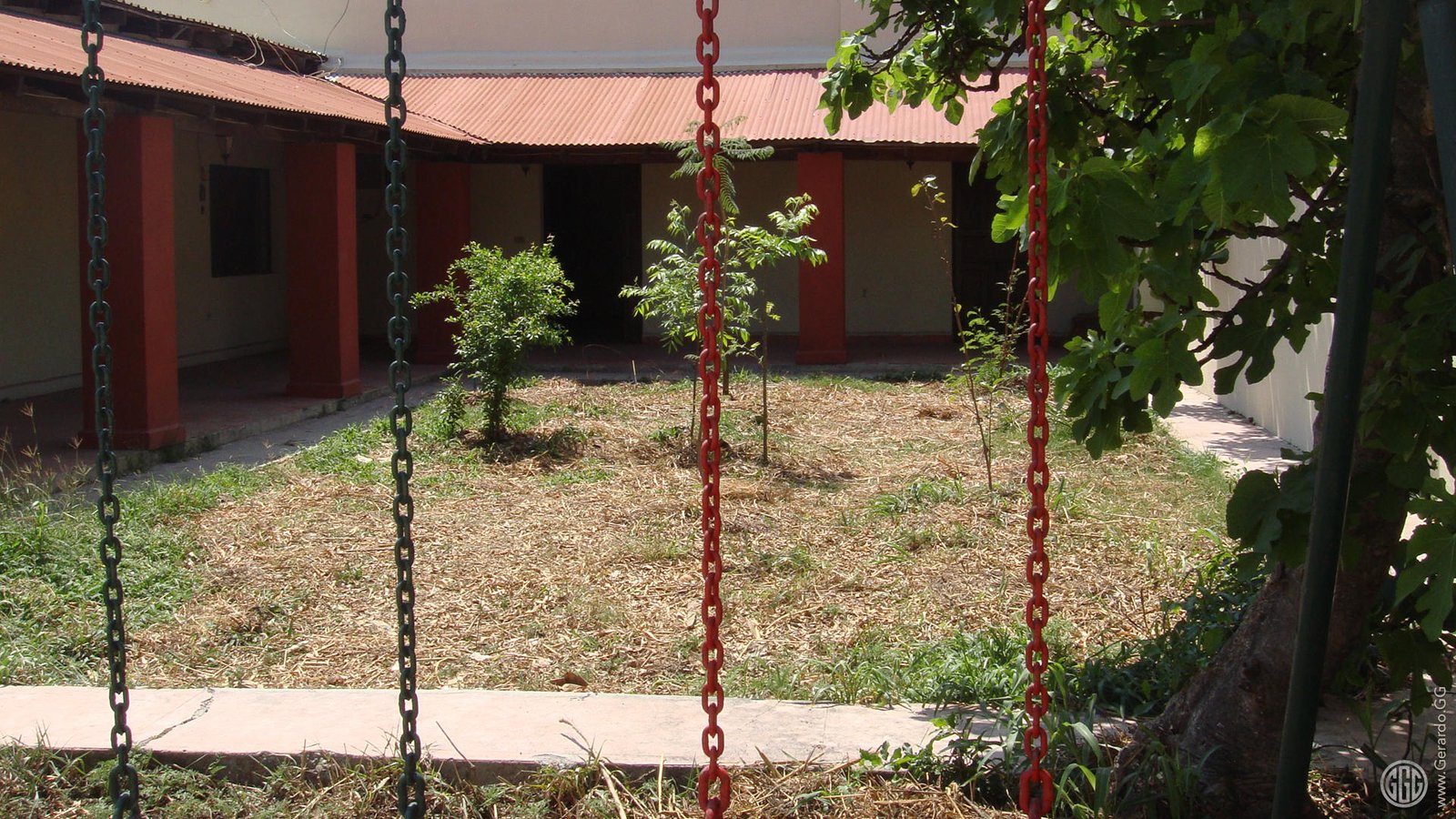 Casa Layra, bosque de alimentos creciendo