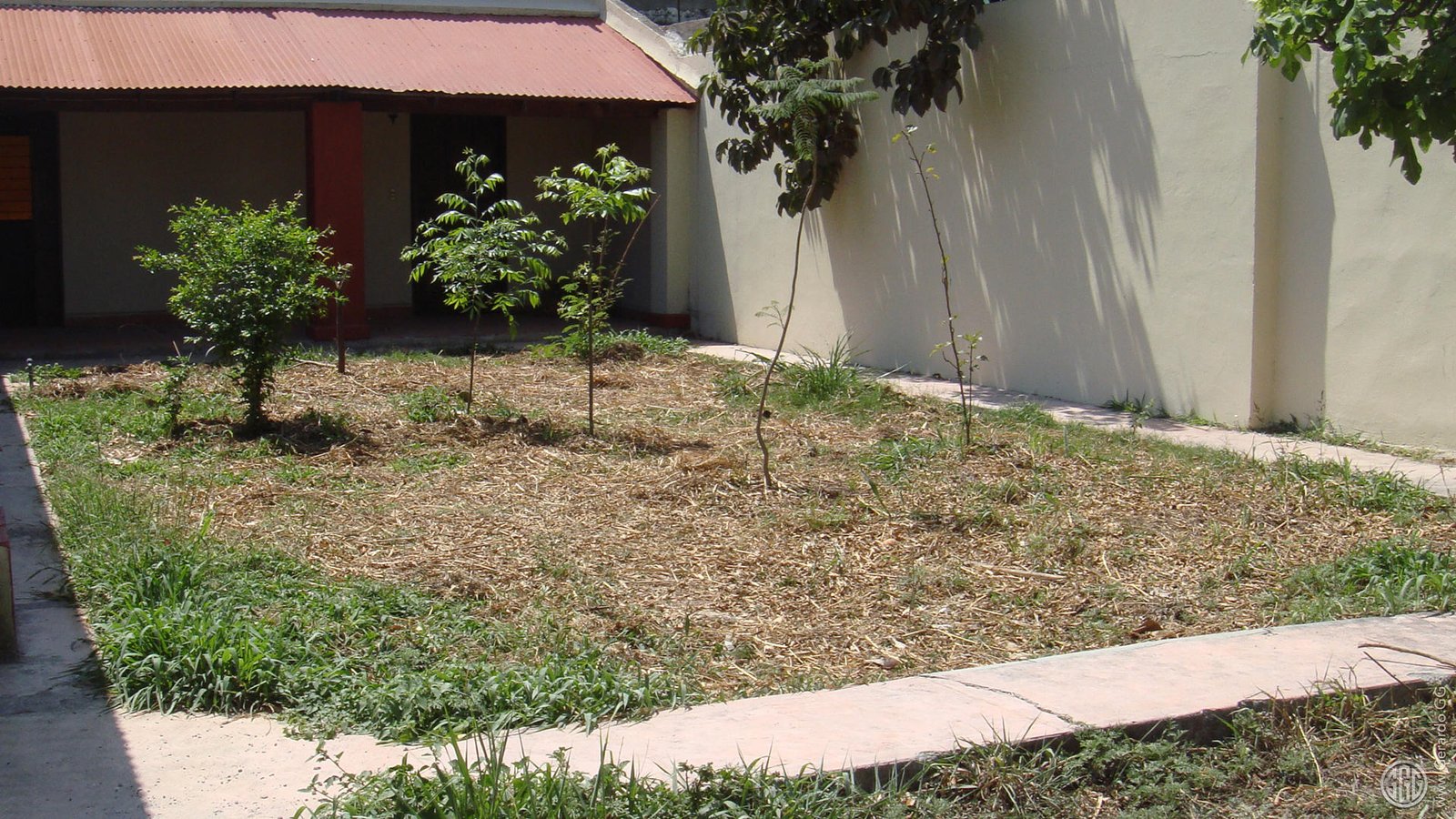 Casa Layra, bosque de alimentos creciendo