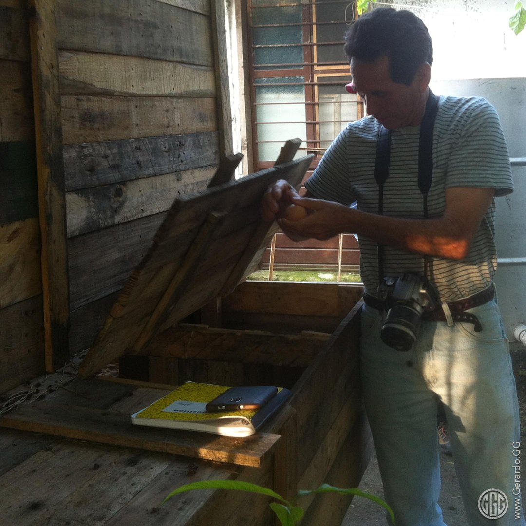 Construcción del gallinero